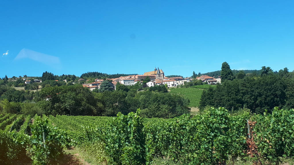 vignes des palais vue ambierle